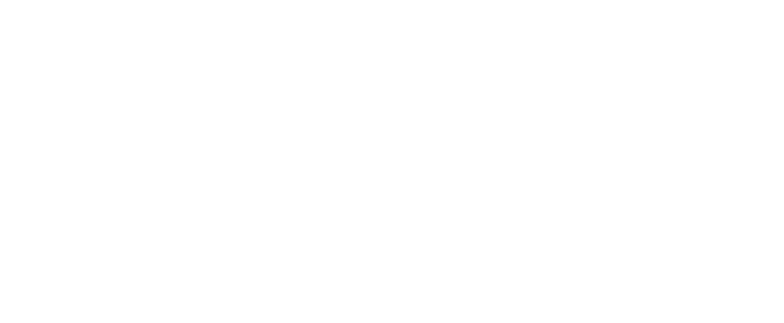 D&L Transport Partner